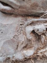 pieta-inizio-prima-meta-xx-secolo