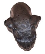 busto-cane-schnauzer-xx-secolo