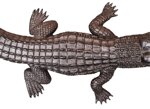 coccodrillo-xx-secolo