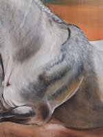 cavallo-al-galoppo-xx-secolo