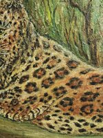 leopardo-in-corsa-prima-meta-900
