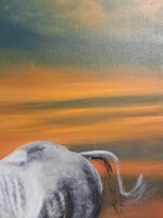 cavallo-al-galoppo-xx-secolo