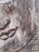 buddha-inizio-prima-meta-xx-secolo