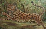 leopardo-in-corsa-prima-meta-900