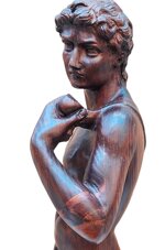 buonarroti-michelangelo-14751564-da-un-modello-di-david-xx-secolo
