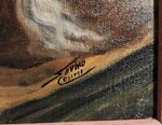 il-conflitto-xx-secolo