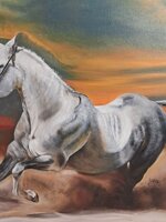cavallo-al-galoppo-xx-secolo