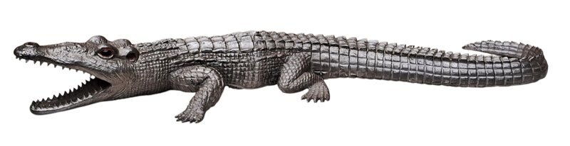 coccodrillo-xx-secolo