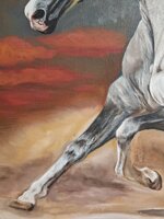 cavallo-al-galoppo-xx-secolo