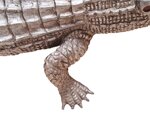 coccodrillo-xx-secolo
