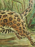 leopardo-in-corsa-prima-meta-900