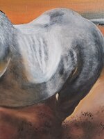 cavallo-al-galoppo-xx-secolo