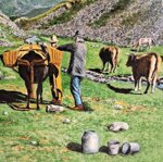 catalano-p-g-paesaggio-di-montagna-con-mucche-al-pascolo-xxi-secolo