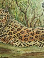 leopardo-in-corsa-prima-meta-900