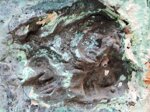 pieta-inizio-prima-meta-xx-secolo