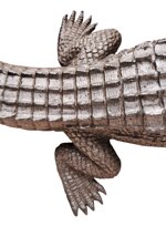 coccodrillo-xx-secolo