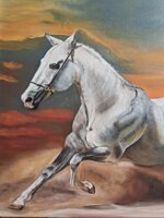 cavallo-al-galoppo-xx-secolo