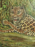 leopardo-in-corsa-prima-meta-900