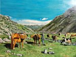 catalano-p-g-paesaggio-di-montagna-con-mucche-al-pascolo-xxi-secolo