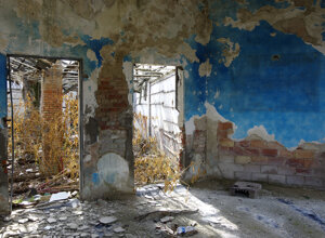 coloredceilings.jpeg