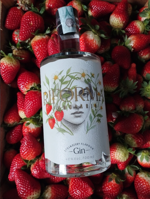 riforma-fondiaria-distilled-gin-700ml