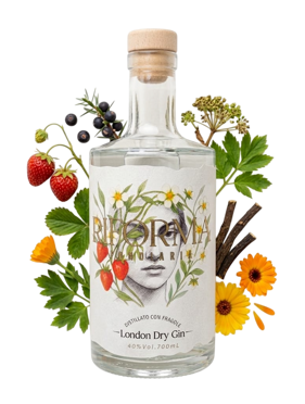 whatsapp image 2026-03-05 at 18.33.13-photoroom