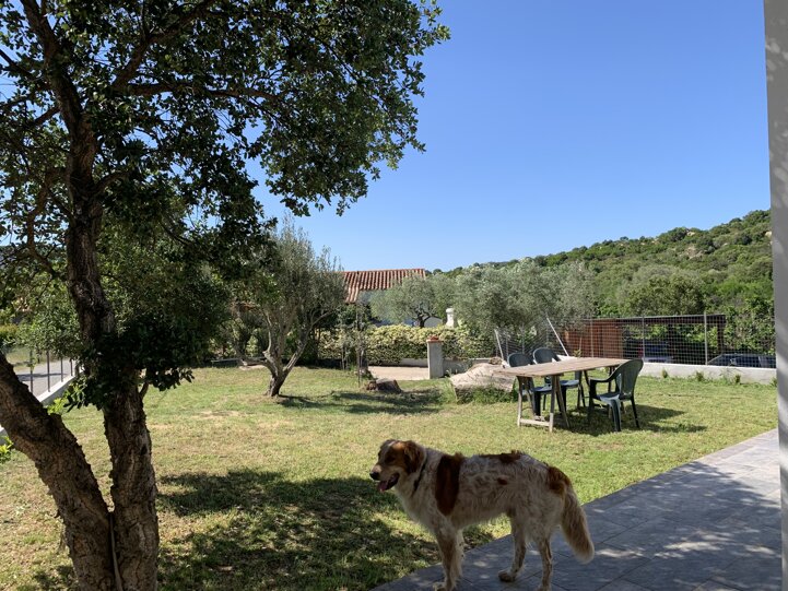 artu cortile.jpeg
