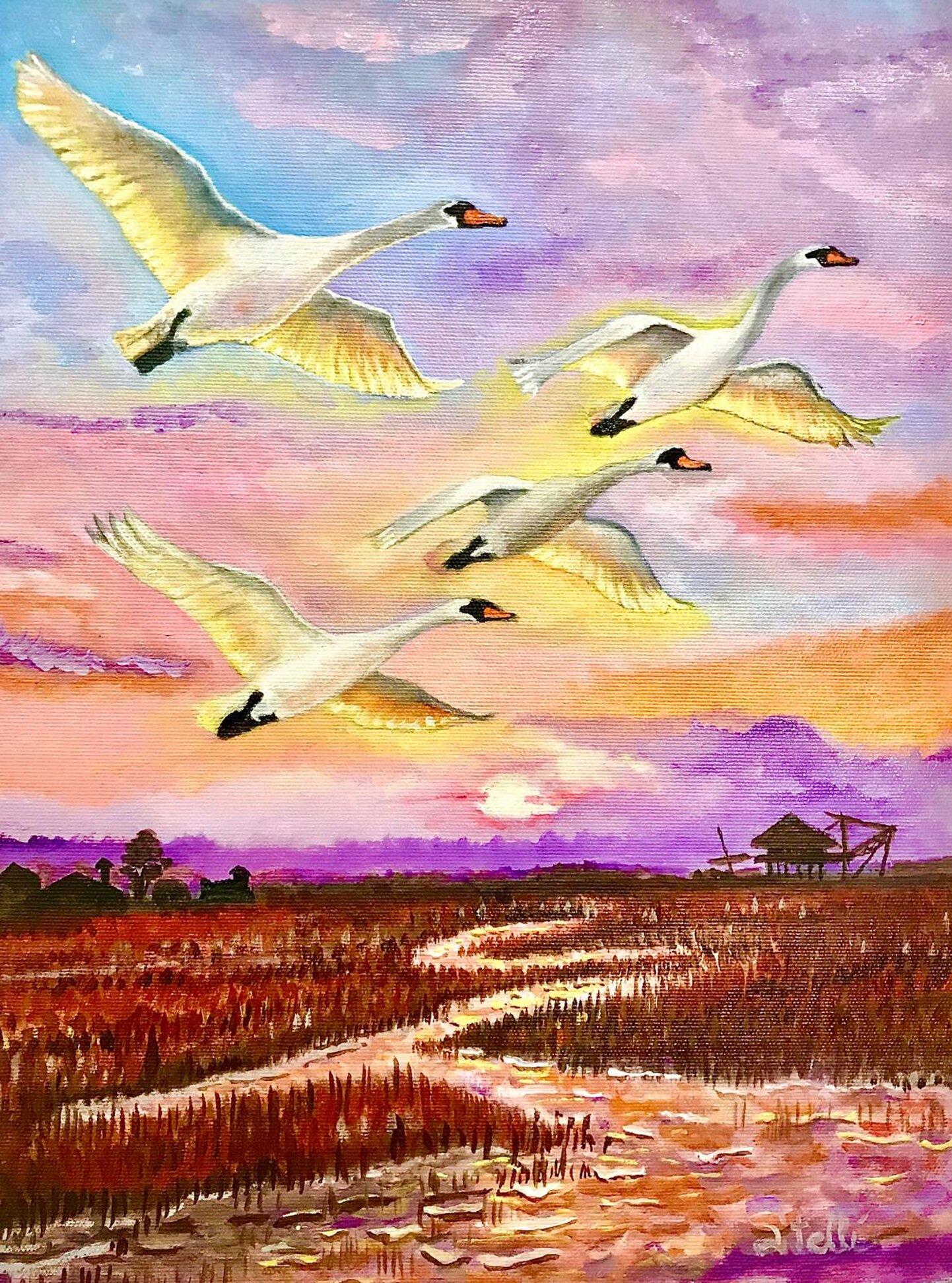 6 cigni in volo - finito 5nov25.jpeg