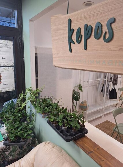 558449786_10234712771034140_5585768584315409346_n.jpeg 558449786_10234712771034140_5585768584315409346_n.jpeg