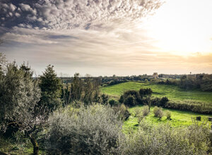 img_3383.jpeg img_3383.jpeg