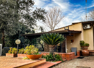 img_3388.jpeg img_3388.jpeg