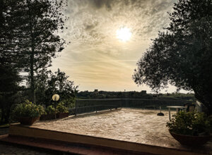 fullsizerender%203.jpeg fullsizerender%203.jpeg