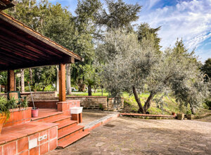 img_3386.jpeg img_3386.jpeg