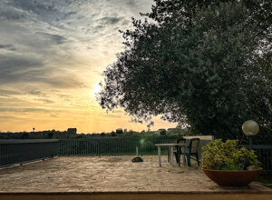 img_3390.jpeg img_3390.jpeg