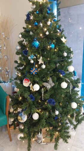 whatsapp image 2025-12-22 at 15.13.15.jpeg