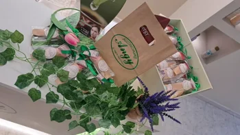 pasted-image-thu-sep-04-2025-17-43-52-gmt-0200-ora-legale-dell-europa-centrale-high