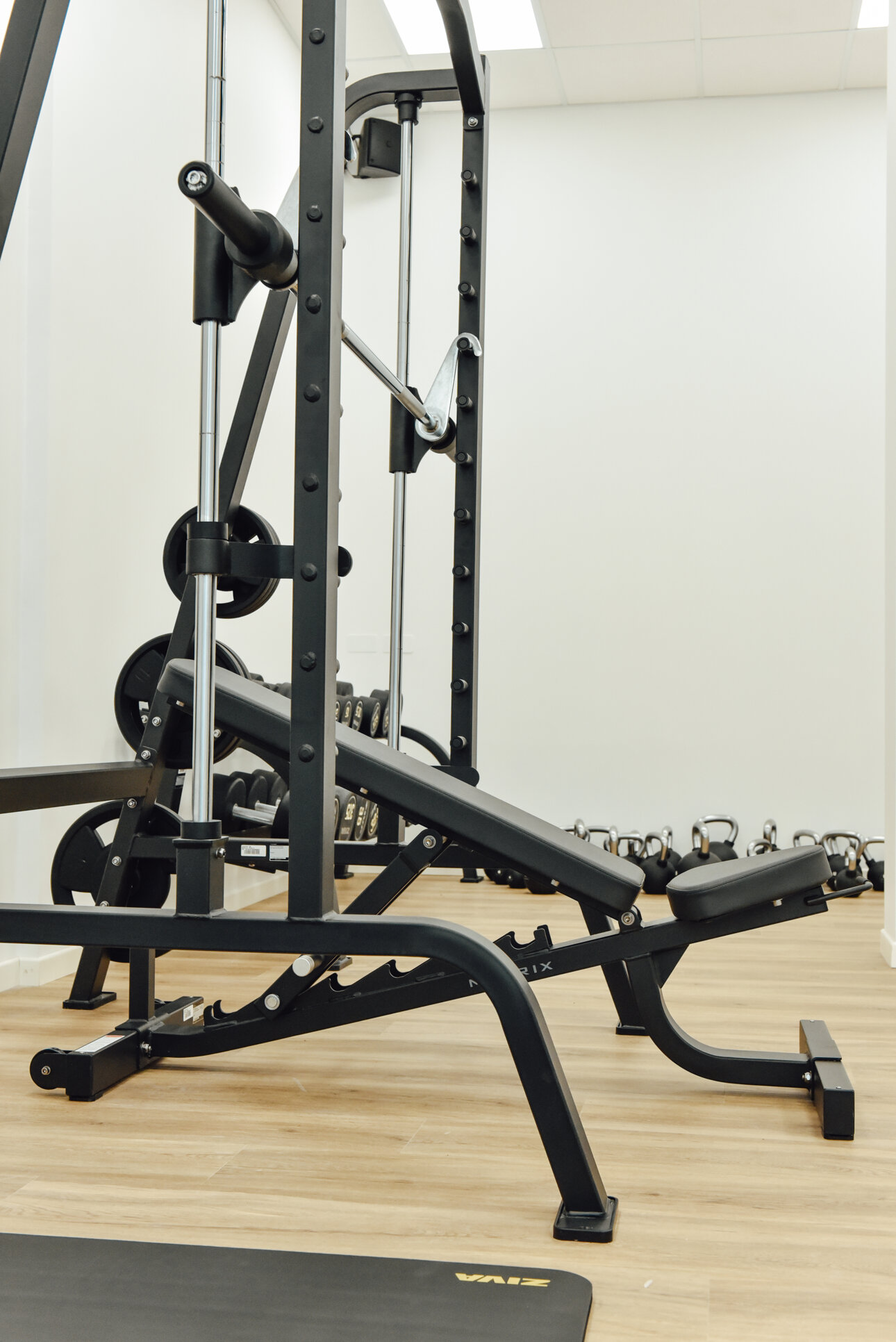 Palestra