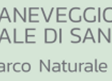 cr%20fiemme