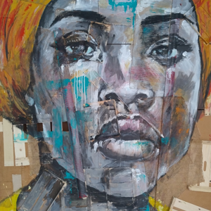 491%20viso%2088%20cm%20208x201%20acr%20cart%20cass%20f%20iuta