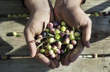 Dalle nostre mani alla tua tavola Dalle nostre mani alla tua tavola