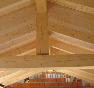 img_0369.jpeg img_0369.jpeg