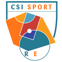 logo ssd colori