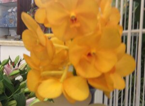 img_1049.jpeg