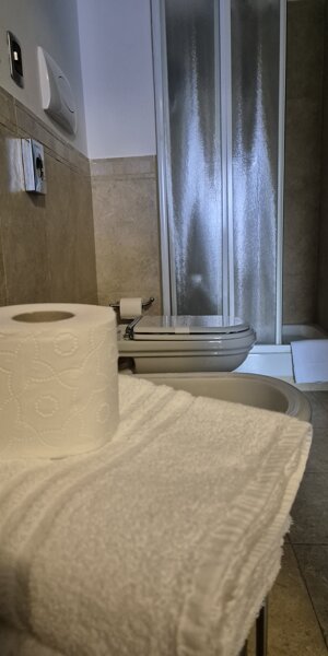 20241221_110409.jpeg 20241221_110409.jpeg