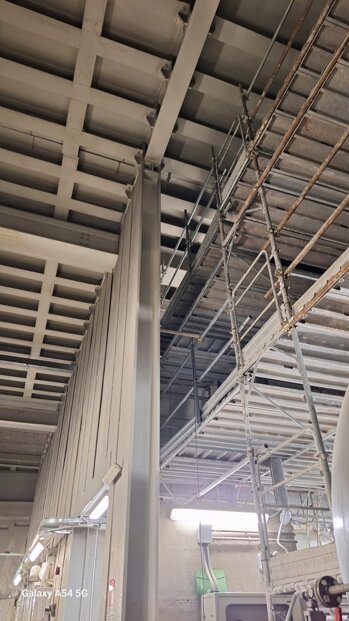 immagine whatsapp 2025-09-14 ore 14.06.31_10320ff6.jpeg immagine whatsapp 2025-09-14 ore 14.06.31_10320ff6.jpeg