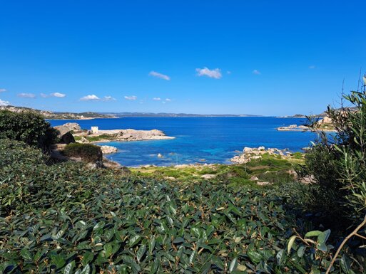 23952_03308ce6be5661d4783994b7fe39dbc01772a744