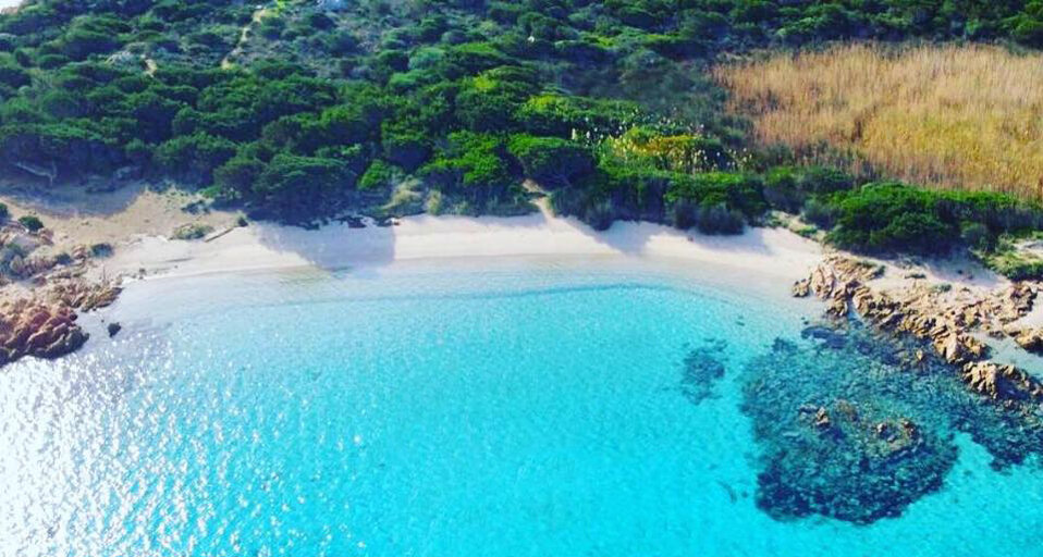 maddalena.jpeg maddalena.jpeg