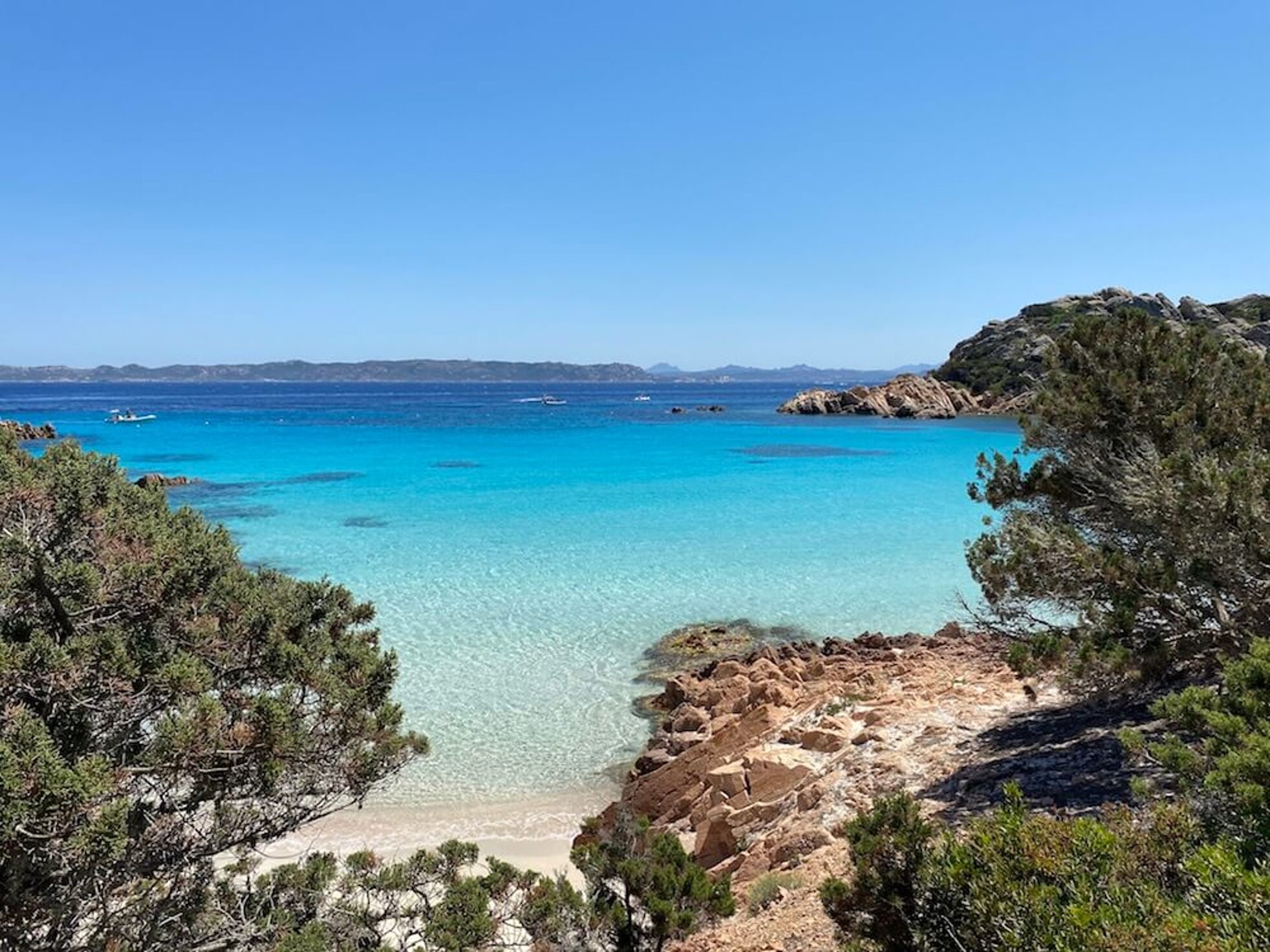 spiaggia-rosa-budelli-2.jpeg