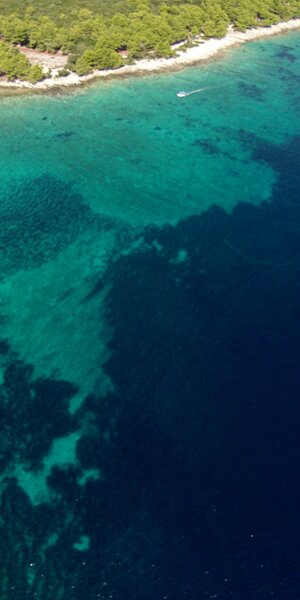 dji_0833.jpeg