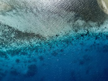 000f5271-9d68-4306-a9eb-8143d6169366